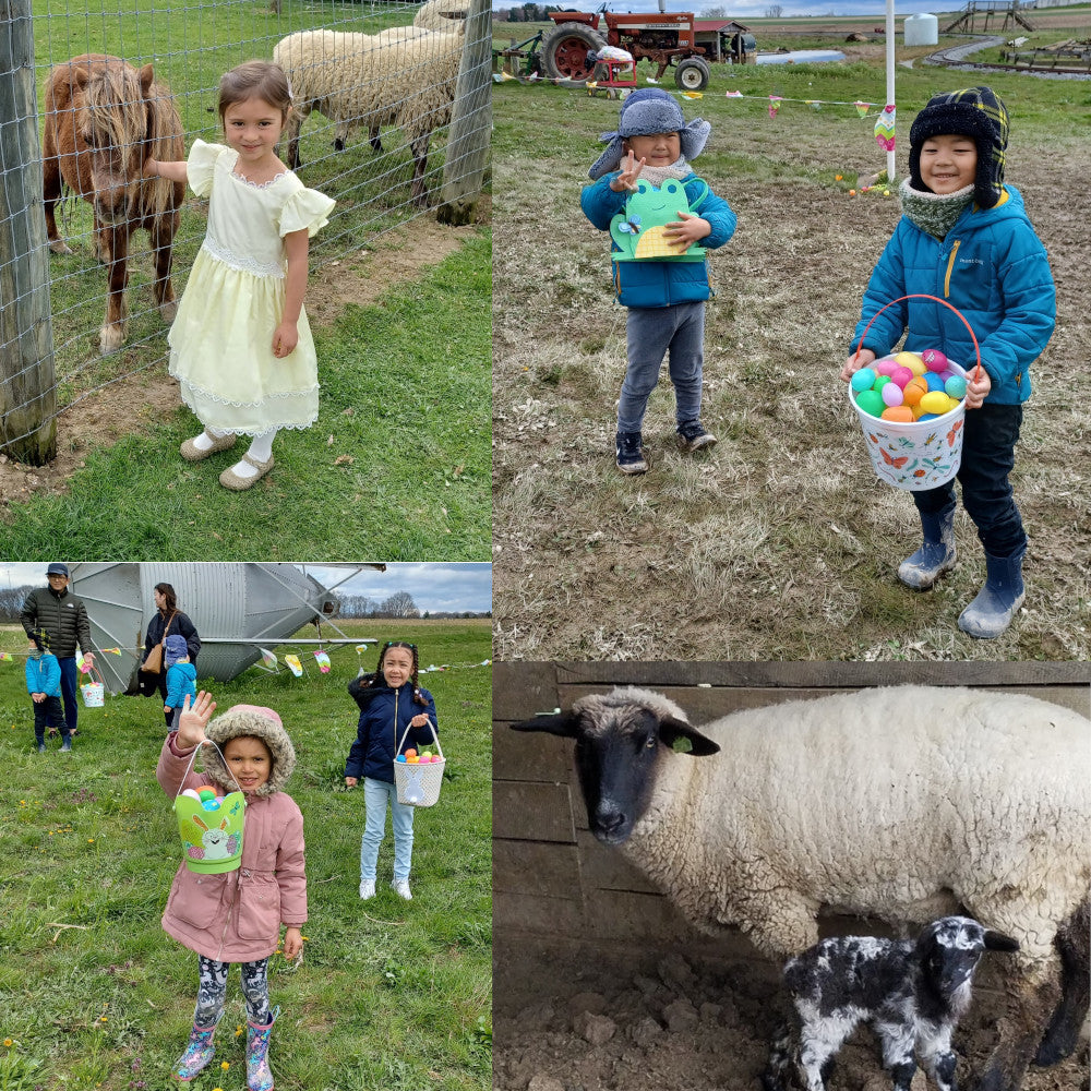 Bunny Village & Egg Hunts