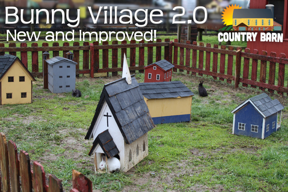 Bunny Village & Egg Hunts