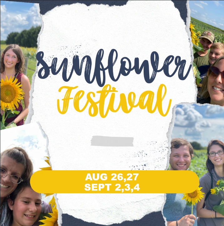 Sunflower Festival 2023