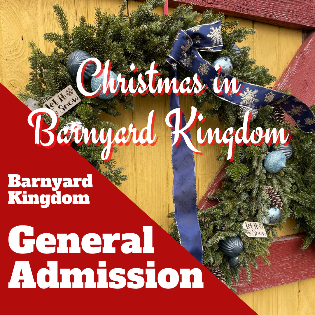 Christmas in Barnyard