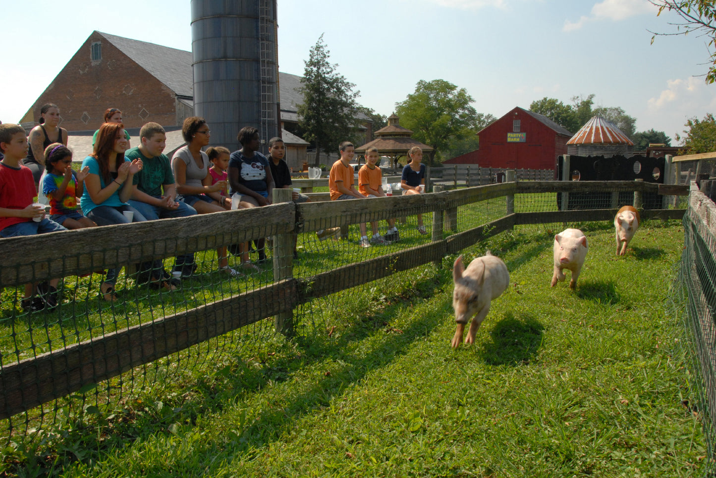 Barnyard Kingdom Admission
