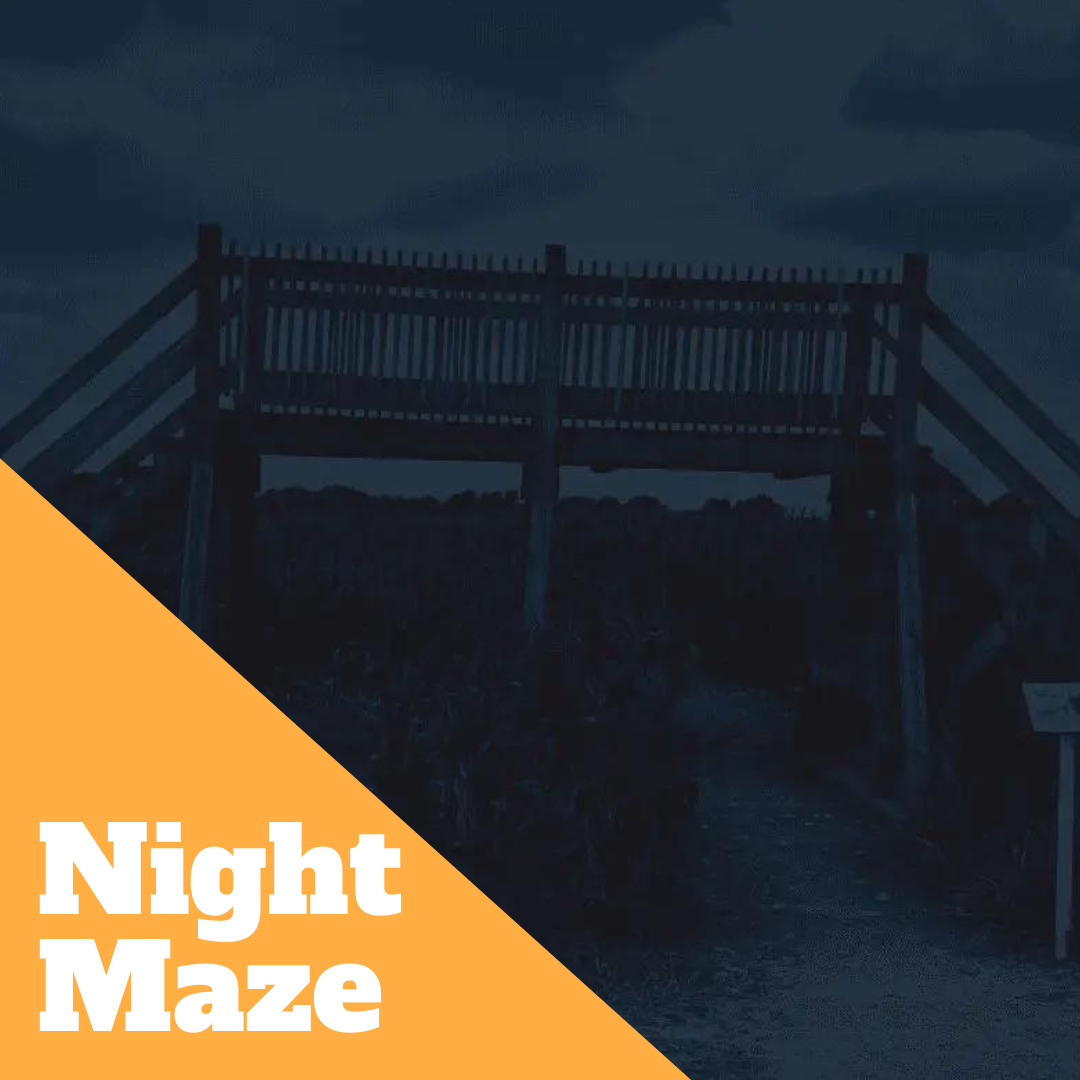 Night Maze – CountryBarnMarket