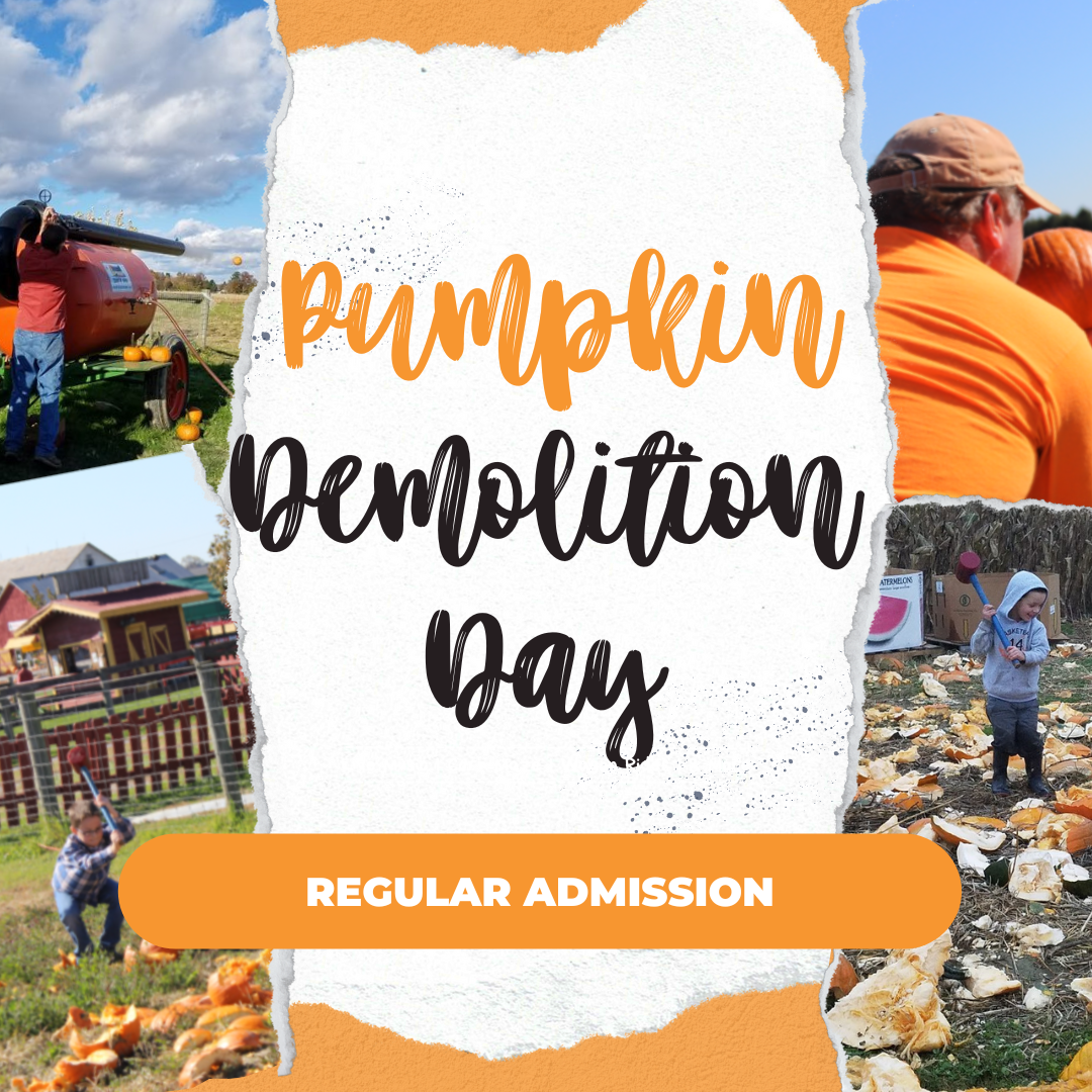 Pumpkin Demolition Day November 1st