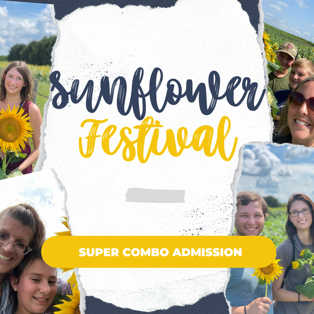 Sunflower Festival 2023