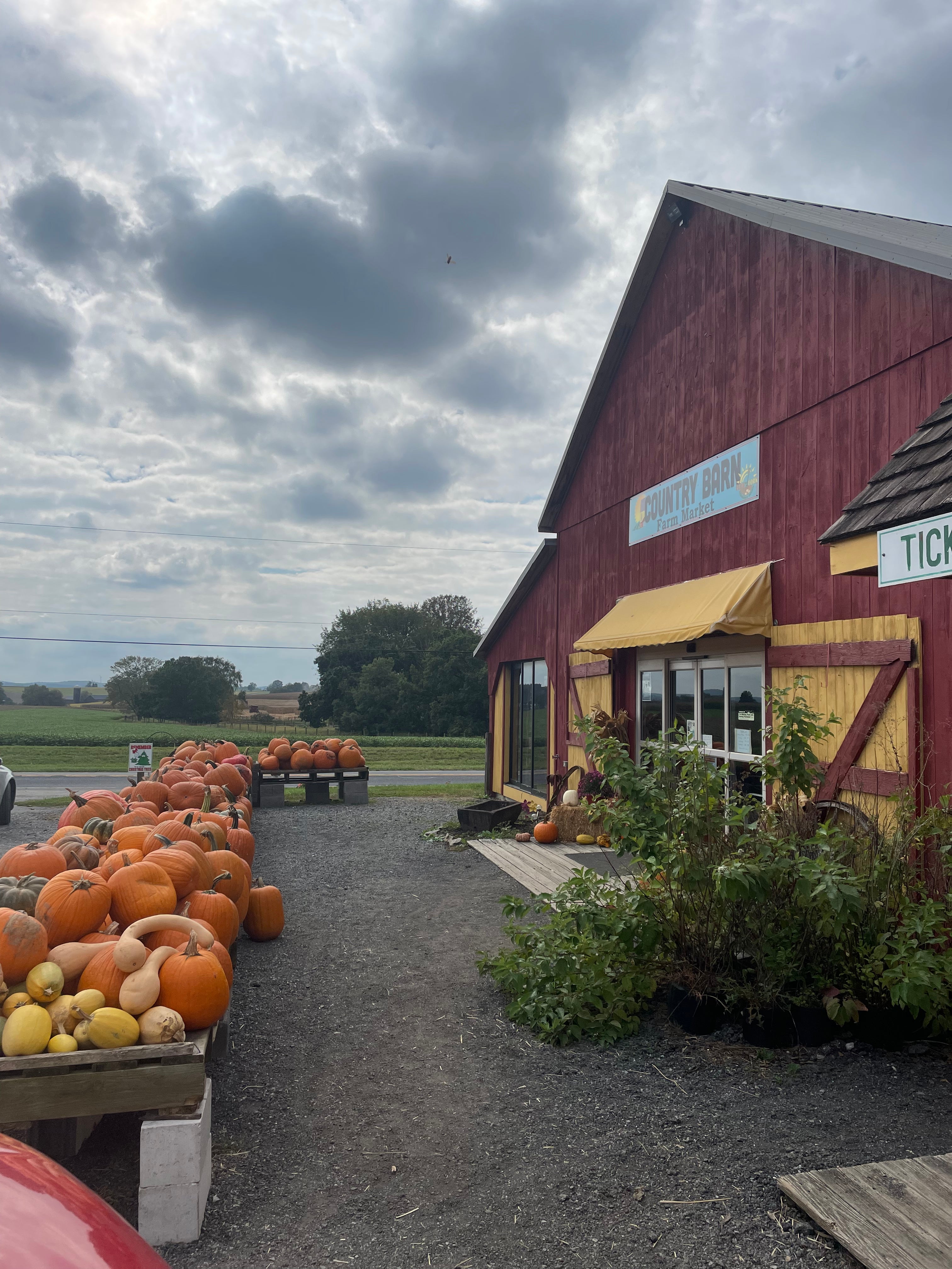 Selling Country Barn