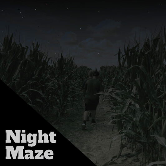 Night Maze