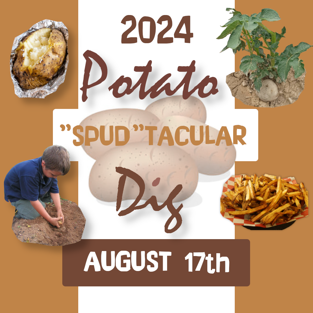 "Spud"-tacular Potato Dig