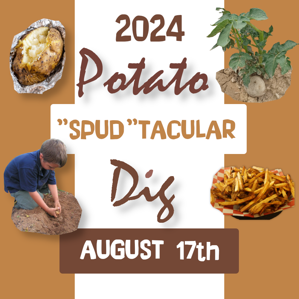 "Spud"-tacular Potato Dig