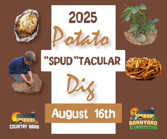 "Spud"-tacular Potato Dig