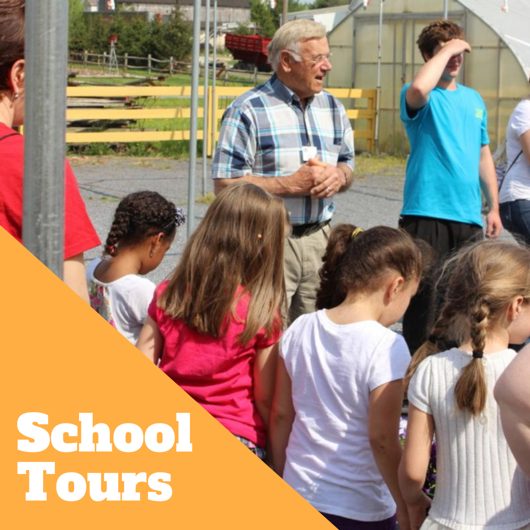 School Tour