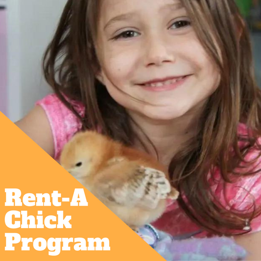 Rent-A-Chick Program