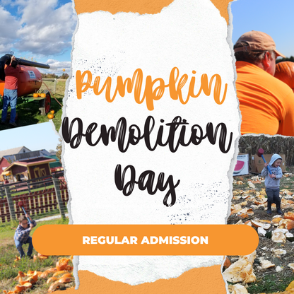 Pumpkin Demolition Day November 7th